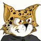 Wizaryx the Leopard