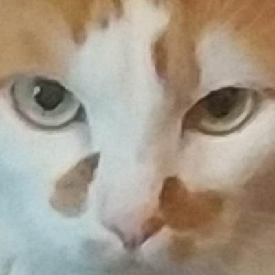 Данил Субботин